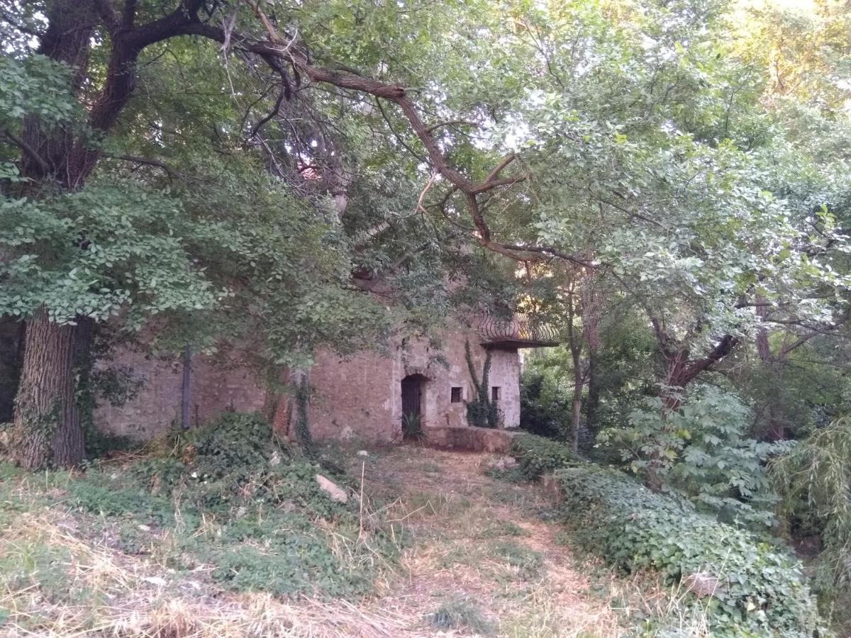 本科瓦茨Jankovich Castle公寓 外观 照片